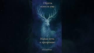  Ясность ума