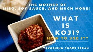 What is Koji and How to Use It? | FERMENTATION | Takoshiho Cooks Japan