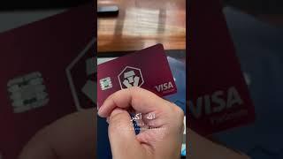 My Crypto.com Visa Card