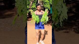 Diet plan Ideas tamil | Healthy Life style | Sathish fitness tamil