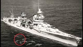 What REALLY Sank the U.S.S. INDIANAPOLIS in 1945? Tragedy at Sea!