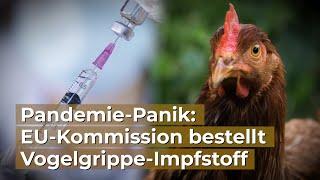 Pandemie-Panik: EU-Kommission bestellt Vogelgrippe-Impfstoff