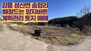 [강릉 성산면 송암리 토지매매] 도로접한 계획관리지역 해잘드는 양지바른 나대지 와 전 한필지