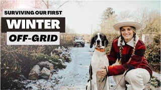 Surviving our first winter off-grid | Building a tiny home & homestead in Wales with EcoFlow