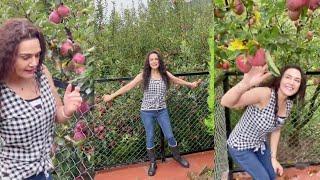 Preity G Zinta Apple Farms Tour In Shimla #Ting #Appleorchards #farmlife #familytime #proudhimachali