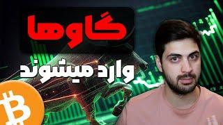 تحلیل بیت کوین خبر به نفع بیت کوین اومد برای اسپات ورود داریم