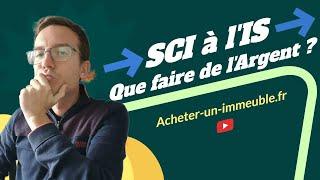 SCI à l'IS : que faire de votre argent ?