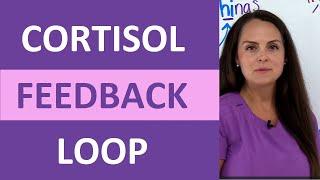 Cortisol Negative Feedback Loop Mechanism Explained Nursing