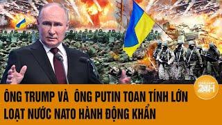 Thời sự quốc tế: Ông Trump và ông Putin toan tính lớn, loạt nước NATO hành động khẩn