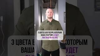 3 цвета, благодаря которым ваша квартира БУДЕТ ВЫГЛЯДЕТЬ БОГАЧЕ