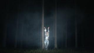 iamamiwhoami; shadowshow