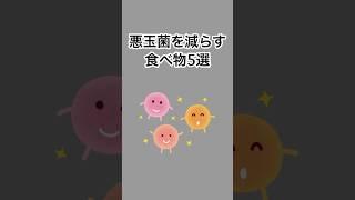 悪玉菌を減らす食べ物5選#雑学 #健康雑学 #面白いスレ #shorts