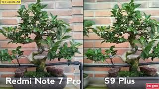 Redmi Note 7 Pro vs Samsung Galaxy S9 Plus Camera comparison || #RedmiNote7Pro #GalaxyS9Plus