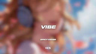 Spicyverse - Vibe [NCS Lyrics]