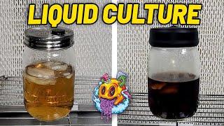 North Spore Liquid Culture Kit 90 Day Update!!!