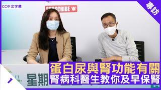 蛋白尿與腎功能有關 腎病科醫生教你及早保腎 - 鄭丹瑞《健康旦》腎病科專科 #何露儀 醫生 (CC中文字幕)