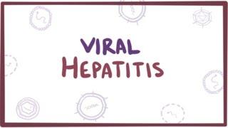 Viral hepatitis (A, B, C, D, E) - causes, symptoms, diagnosis, treatment & pathology