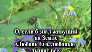 Любовь Христа (фонограмма и слова)