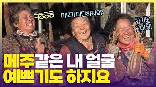 일상이 시트콤 그 자체인 경북 예천 메주 삼총사 [6시 내고향] | KBS 241219 방송