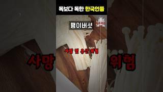 독보다 독한 한국인들