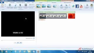 Киностудия Windows Live (49/52)