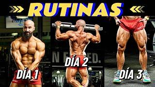 Semana COMPLETA de Rutinas para TODO el Cuerpo