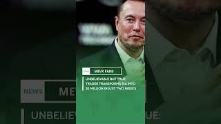 Trader transforms $16 into $3000000 in just two weeks  #iblockchain #iblockchaincom #crypto