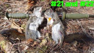 2 Blowgun Squirrel Kills! (#21 and #22)