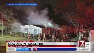 Dog dies in Durham house fire Sunday night: Durham FD