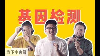 基因检测等于科学算命吗？丨当下频道DXChannel丨当下小白鼠 DX Try