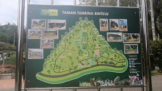 Roaming At Taman Tumbina Bintulu