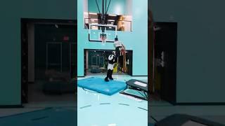 Panda got absolutely POSTERIZED 