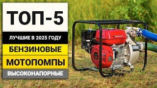 Лучшие бензиновые мотопомпы с производительностью от 1000 л/мин | ТОП-5 в 2025 году