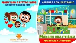 MAKSIM IMA PTICICU | Maxim Has a Little Bird | Nursery Rhyme Remix | Mary Had a Little Lamb RMX