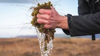 LIFE Welsh Raised Bogs