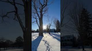 Beautiful Snow-Covered Park to chill #relaxing #snow #white #winter #sunset