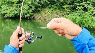 3 Hours of RAW and UNCUT Ultralight Fishing with Gulp Minnows | Melton Hill Reservoir