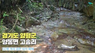 [경기도 양평군 양동면 고송리60평 계획관리 임야 매매 - 중고트랙터 중고농기계 경운기 관리기 스키로더 굴삭기 화물트럭 매매 직거래 장터 사이트