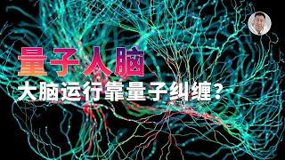 大脑运作靠量子纠缠？中国团队新成果或揭示「意识」为何存在