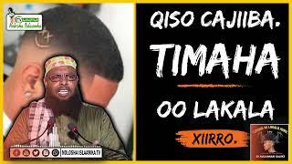 QISO CAJIIBA | Timaha Oo Lakala Xiiro | DUNUUBTA WAAWEYN | Sh.Maxamuud Xaliike |