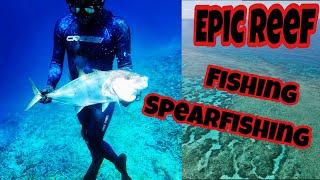 Fishing and Spearfishing onboard Island Drifter 2