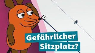 Wieso bekommen Vögel auf der Oberleitung keinen Stromschlag? | Die Maus | WDR