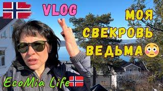 Кладовка была завалена Сушёными Жабами и Куриными Лапами./ЕЙ МЕШАЛ МОЙ РЕБЁНОК /Nº8-03.2025