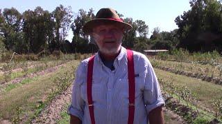 The Yearly Life Cycle of a Blueberry Plant with Tim Berry