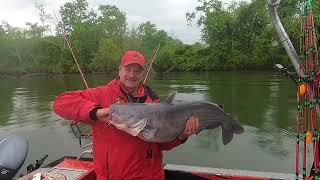 My first new catfish video since my heart surgery. Fish On