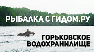 Рыбалка с гидом на Горьковском водохранилище.  Река Унжа.