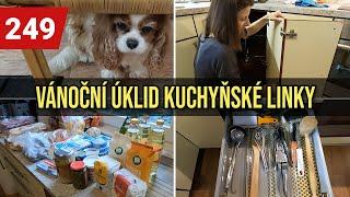 LÍLA  NA VETERINĚ | NÁKUP NA VÍKEND | VÁNOČNÍ ÚKLIDOVÁ VÝZVA - KUCHYŇSKÁ LINKA