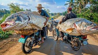 Amazing! Nice Villagers Very Beautiful Biggest Street Fishmarket And Fish Cutting Skills