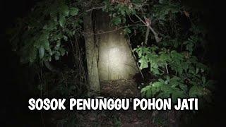 DI IKUTI SOSOK PENUNGGU POHON JATI! DI MAKAM PUTRI SUNAN MURIA