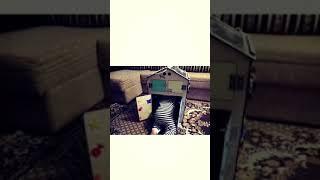 БизиДом «Дом с умом»